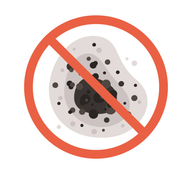 Best Industrial Mold Remediation  in Mount Angel, OR