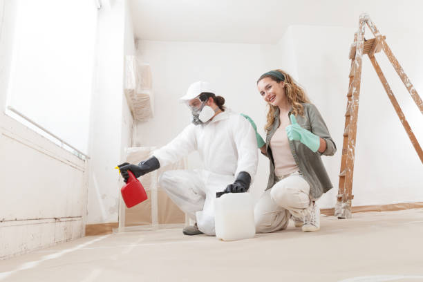 Best Indoor Air Quality Assessment  in Mount Angel, OR