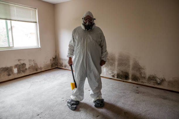 Best HVAC Mold Inspection and Cleaning  in Mount Angel, OR